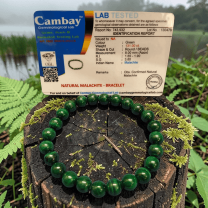 Natural malachite bracelet displayed on a wooden stump with a gem testing certificate.