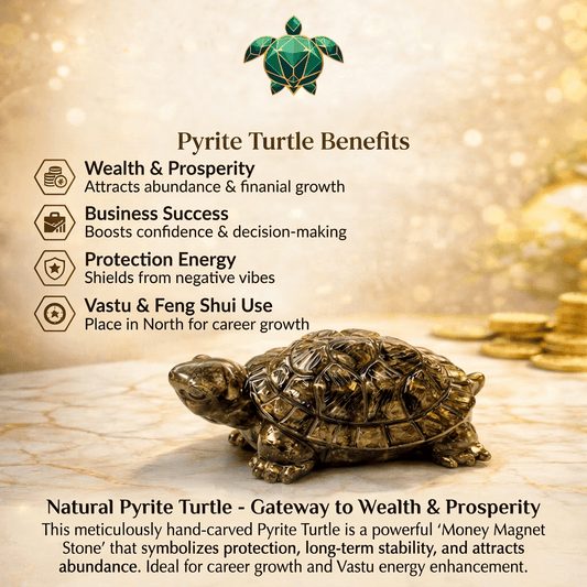 Wealth and Money Pyrite Turtle