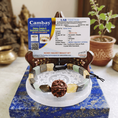 Lab Certified Money Magnet Bracelet - 5 Mukhi Rudraksha, Pyrite, Green Aventurine, Citrine & Tiger’s Eye – Gems Turtle (image 3)